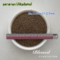 ดินญี่ปุ่นอคาดามะ(Akadama) Size S แบ่งจำหน่าย ใช้โรยหน้ากระถางหรือผสมปลูก