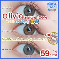 คอนแทคเลนส์ Mini Olivia Brown / Light Brown / Gray (Kitty Kawaii) ขนาดมินิ ? ลายฮิต ขายดีมาก