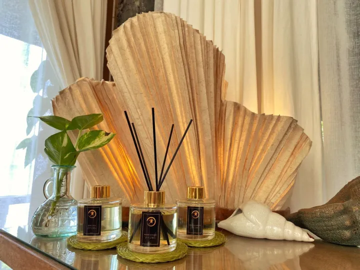 Fresh Bamboo Reed Diffuser (with Reed Sticks) Lazada PH