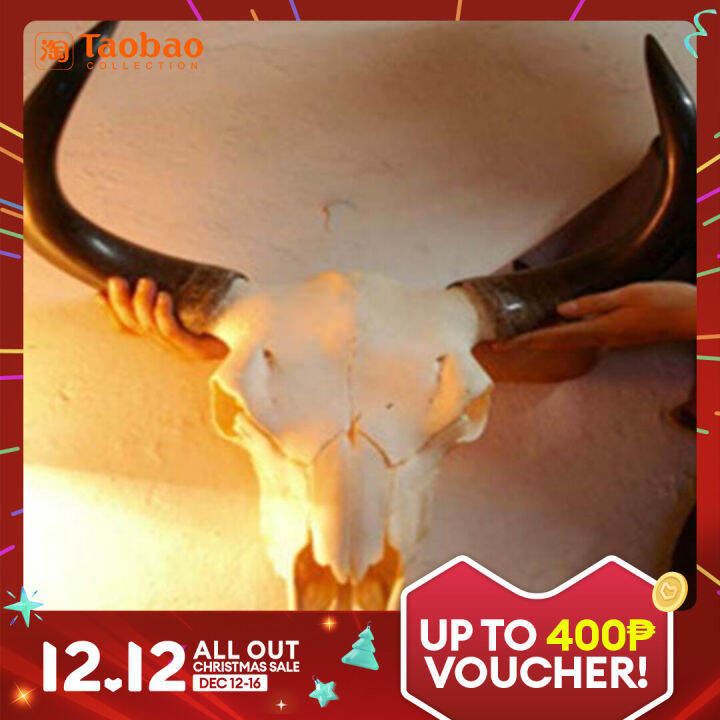 Yak Skull Specimen Vegetable Banquet Real Cow Head Natural Big Cow Head Living Room Decorations