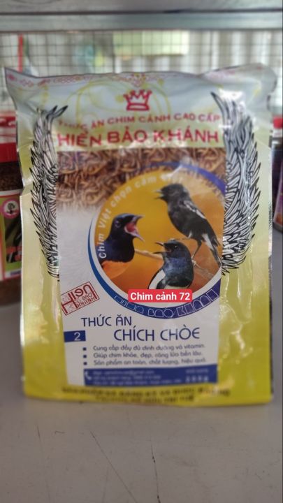 Những địa chỉ cửa hàng bán thức ăn cho chim ở Nha Trang
