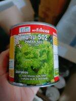 ผักกาดหอม พิมาน502