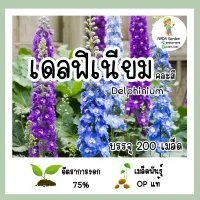 เมล็ดพันธุ์เดลฟิเนียม คละสี (Delphinium) บรรจุ 200 เมล็ด เมล็ดพันธุ์ OP แท้