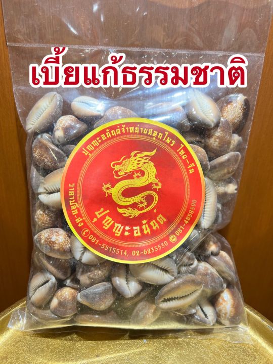 เบี้ยแก้-หอยเบี้ยแก้-เบี้ยธรรมชาติขายเป็นตัวๆละ10บาท