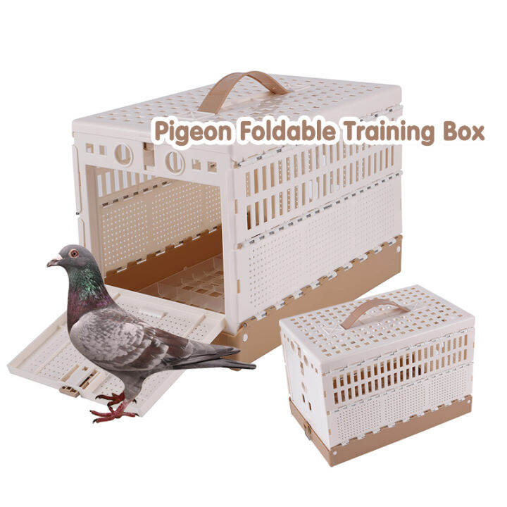 Taiwan Foldable Pigeon Training Box Tbox Cage Plastic Lazada PH