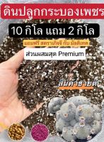 ?HOT?ดินปลูกกระบองเพชร cactus soil ??ดินดีมีชัยไปกว่าครึ่ง ส่วนผสมระดับพรีเมี่ยม