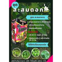 ฮอร์โมน #ชุดสะสมดอก (1ลิตรX2ขวด)