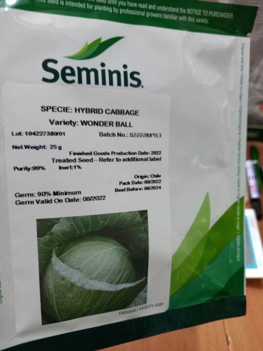 Wonder ball cabbage Lazada PH