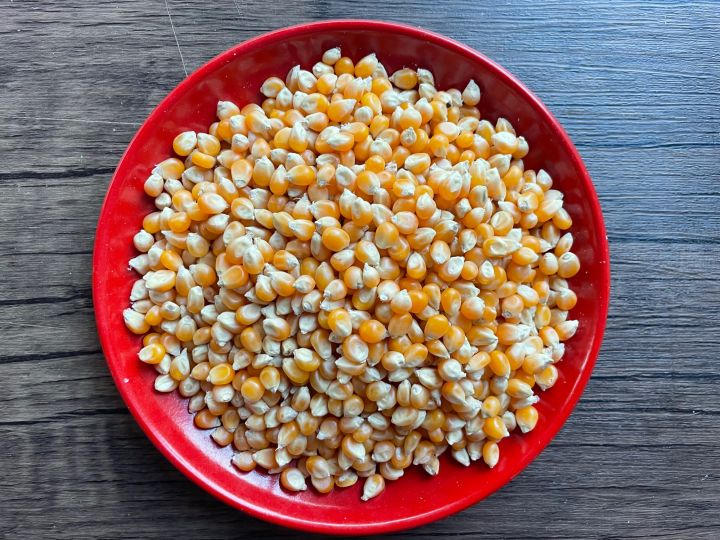 เมล็ดข้าวโพดดิบ-corn-seeds-สำหรับทำป๊อปคอร์น-แบบ-mushroom-ขนาด-1-000-กรัม