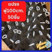 แปรงพู่100cm.จำนวน50ชิ้น