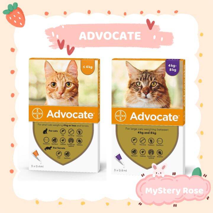 Elanco SpotOn Solution for Cats / Fleas Control / Dewormer / Parasite Treatment ( 3 Pipettes