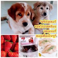 ขนมหมา ขนมแมว โฮมเมด - สูตรขนมไก่เคลือบสตรอเบอรี่ - สัตว์เลี้ยง อร่อย สุขภาพดี by JackGeorgeDogFood