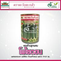 เมล็ดพันธุ์แตงร้าน? “ โพไซดอน “ ? ตราตะวันต้นกล้า ?ขนาด100กรัม