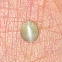 คริสโซเบริล แคทอายธรรมชาติ 0.64cts 6x5mm 0.64cts natural chrysoberyl catseye 6x5mm