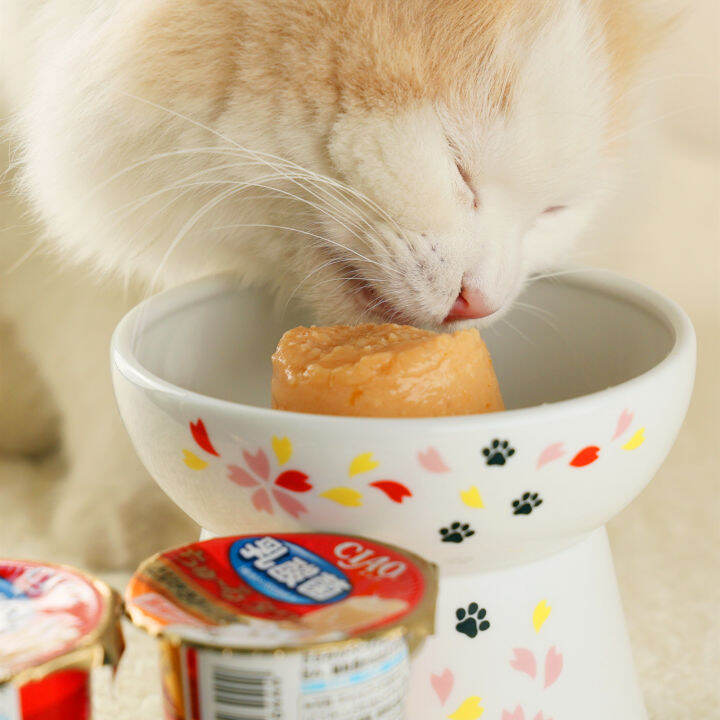 Japan Creating Origional Product Imported Cat Snacks Ciao New Listing ...