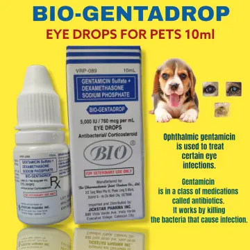 Dexamethasone sodium phosphate clearance eye drops for dogs