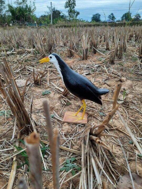 นกกวักปลอมทรงร้องพร้อมเสียงนก-นกไก่นา-ใช้สำหรับต่อนก-หรือตกแต่งสวน-นครพนมเท่านั้น