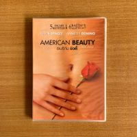 DVD : American Beauty (1999) อเมริกัน บิวตี้ [มือ 1] Sam Mendes / Kevin Spacey / ดีวีดี หนัง แผ่นแท้ ตรงปก