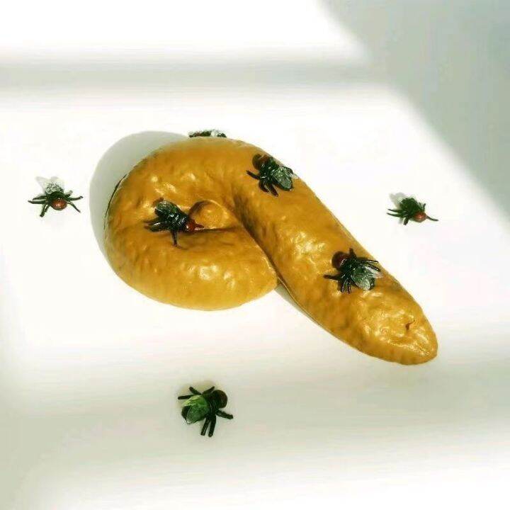 Stink Poop Poop Fake Poop Model Prank Props Celebrity Funny