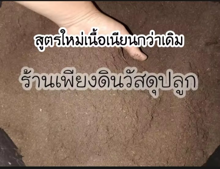 พีทมอสหมักปุ๋ยอินทรีย์-เพาะเมล็ด-เมล็ดกล้า-พีทมอสเพาะเมล็ด-เพาะเมล็ด-กระบองเพชร-ไฮโดรโปรนิกส์-ไม้ใบ-ผัดสลัด