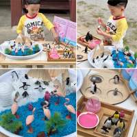 Penguin life cycle Sensory play วงจรชีวิตเพนกวิน เพนกวินสีชมพู เพนกวิน ฟลามิงโก penguin flamingo montessori