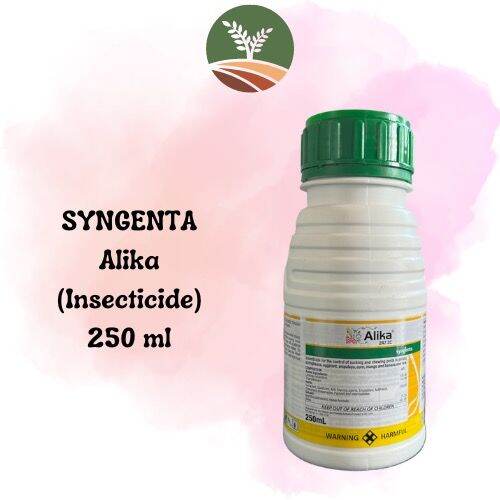 Syngenta Alika 247 Zc Insecticide 250ml Lambda Cyhalothrin Thiamethoxam Lazada Ph 3387