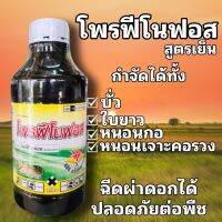 โพรฟีโนฟอส กำจัดหนอนกอ บั่ว ใบขาว หนอนเจาะคอรวง สูตรเย็น ฉีดผ่าดอกได้