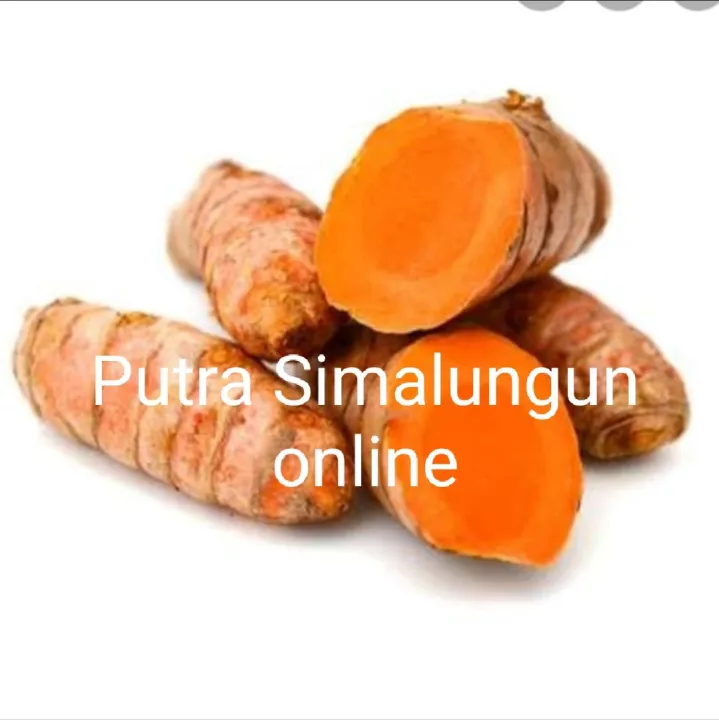 Kunyit Segar 1kg Lazada Indonesia 7639