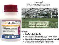 คุโนะอิชิ สารป้องกันจำกัดแมลง ขนาด250 ซีซี  มือพิฆาตไรแดง คุมนาน ตัดวงจรไรดื้อยา กำจัดได้ทุกระยะ