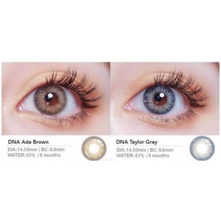 คอนแทคเลนส์-dna-brown-gray-ขนาด14-2-มีค่าส่ยตาและสายตาปกติ-ยี่ห้อ-wink