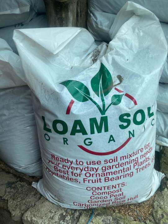 Loam Soil for Gardening | Lazada PH