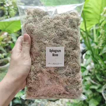 High Quality Spagnum Peat Moss for plants orchids carnivorous plants pet  beddings