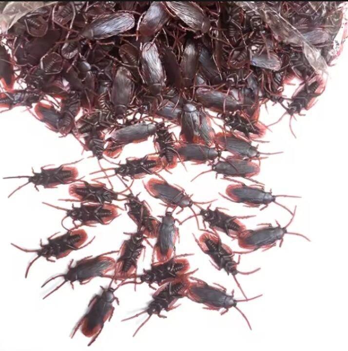 50 pcs cockroach brown ipis toy prank | Lazada PH