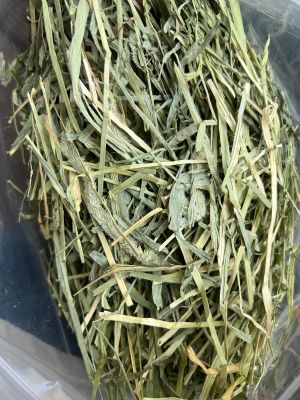 หญ้าทิโมธี  ร่อนฝุ่น ทิมโมธีใบเยอะมาก ก้านไม่แข็ง ขนาด 1kg Timothy Hay Dust process 1 kg