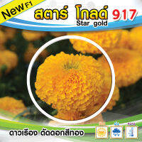 เมล็ดพันธ์ุดาวเรืองสีทอง917 บรรจุ1000 เมล็ด ดอกใหญ่นาน ต้นเเข็งเเรง