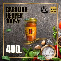 ผงพริกแคโรไลนา รีพเปอร์ พริกเผ็ดที่สุดในโลก (Powder&amp;Flake40G.) Carolina Reaper 100%