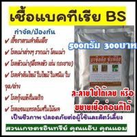 บีเอส 500กรัม , บาซิลลัส ซับทีลิส , BS ป้องกัน กำจัดเชื้อรา รากเน่า โคนเน่า ใบไหม้ แคงเกอร์  กุ้งแห้ง