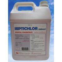 SEPTICHLOR เซพติคลอร์ 5000 ML. น้ำยาฆ่าเชื้อเกรดห้องผ่าตัดจากโรงพยาบาล