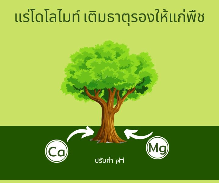 โดโลไมท์-บรรจุ-2-กก