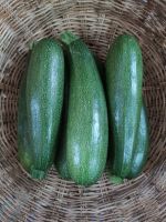 ซูกินี บวบฝรั่ง zucchini   1kg