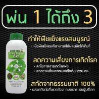 ออม-เบี้ย​ Aom-Bia วัคซีนพืช​ออมเบี้ย​ Strong Natural Plant