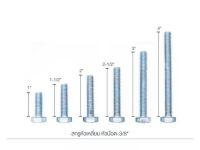 น็อตหัวเหลี่ยมสแตนเลส Stainless Steel  เกลียวตลอด