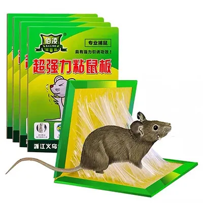 Mouse Rat Glue Trap Rodent expert/Rat Glue Snare Sticker Mice Board ...