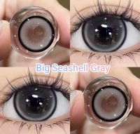 คอนแทคเลนส์ รุ่น Big Seeshell สีเทา/สีตาล Gray/Brown มีค่าสายตา (0.00)-(-10.00) เปลี่ยนแทนทุกเดือน