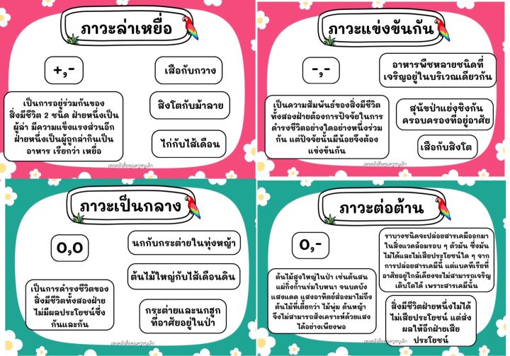 สื่อการสอนวิทย์-จับคู่ความสัมพันธ์สิ่งมีชีวิต-8-ภาวะ