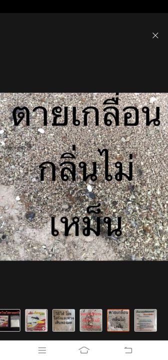 มหัศจรรย์-น้ำตาลมด-ผงกำจัดมด-ตรา-บ้านไทย-เพียงเเค่โรยใส่รังมด-หรือทางเดินของมด-เพียงเเค่นี้มดก็จะหมดไป-1-ซอง-ขนาด-20-กรัม