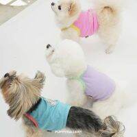 ใหม่! เสื้อผ้าสัตว์เลี้ยงสไตล์เกาหลี?? Petit Bear Crop top ? แฟชั่นซัมเมอร์จาก Puppy Gallery เสื้อผ้าพรีเมี่ยม สีสันสดใส