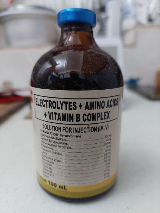 ELECTROLYTE ,+ AMINO ACIDS + VITAMIN B COMPLEX 100ml Lazada PH