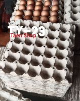 แผงไข่กระดาษ ถาดใส่ไข่ แผงไข่ซับเสียง รังไข่จิ้งหรีด
สำหรับใส่ไข่30ฟอง บุผนังเก็บเสัยง เลี้ยงแมลง/บรรจุ 120แผง ราคา 260บาท