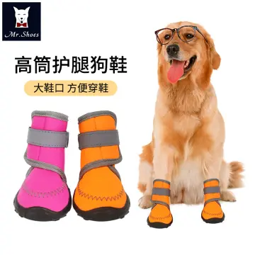 Dog hot sale shoes lazada